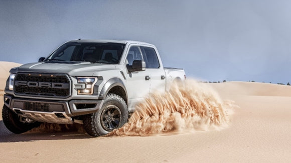 2016-2020 Raptor
